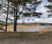 земля 100 сот Советская пл