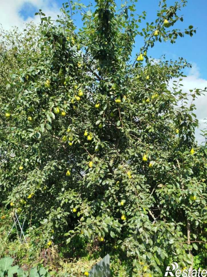 Коттедж/дом Советская площадь