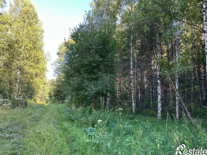 Земельный участок